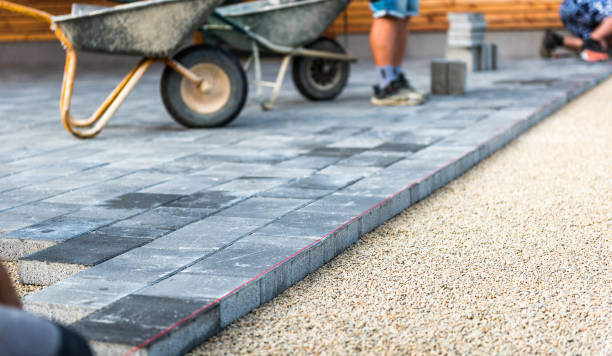 Best Driveway Paving Contractor  in Spring Park, MN