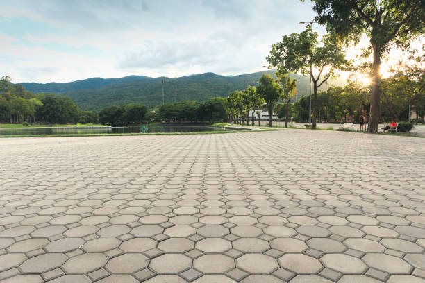 Best Local Driveway Pavers  in Spring Park, MN
