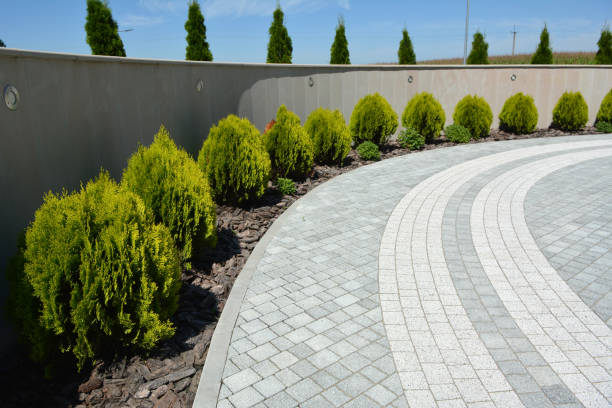 Best Decorative Driveway Pavers  in Spring Park, MN